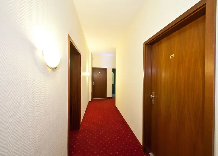 Palm Premium & Düsseldorf