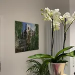 Palm Premium &
