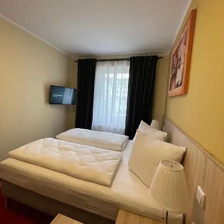 Palm Premium & Dusseldorf