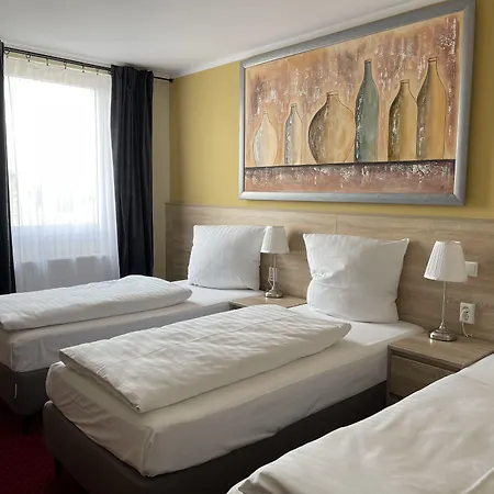 Palm Premium & Düsseldorf