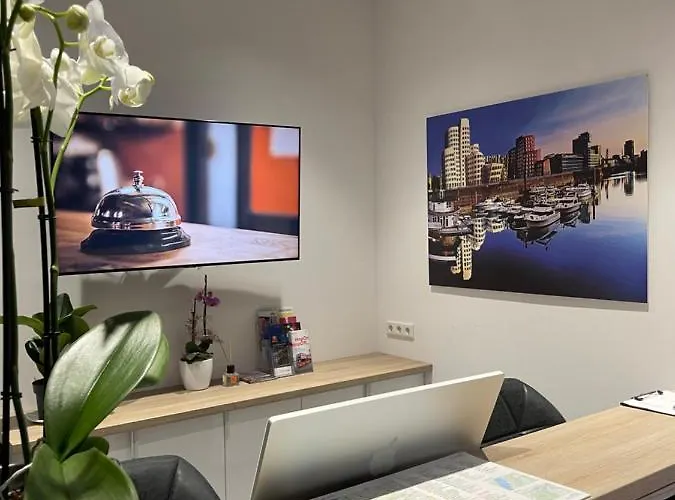 Palm Premium & Düsseldorf