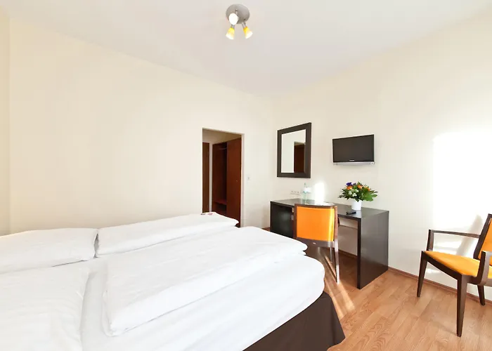 Palm Premium & Düsseldorf