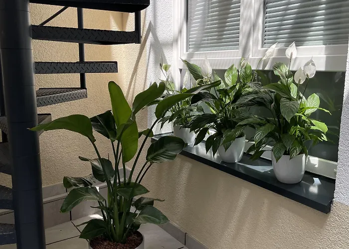 酒店 Palm Premium & 杜塞尔多夫