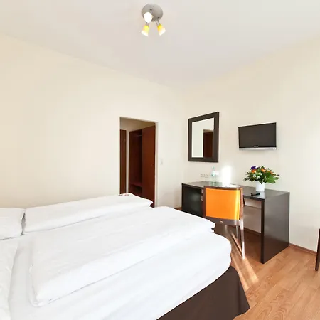 Palm Premium & Düsseldorf