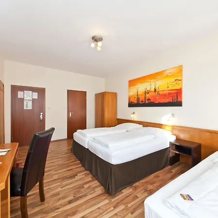 Palm Premium & 3*