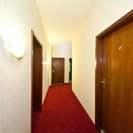 Palm Premium & Düsseldorf