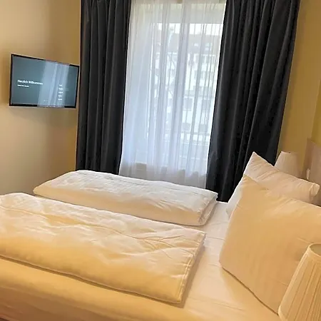 Palm Premium &