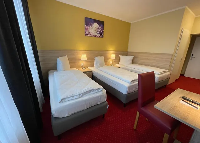 Palm Premium & 3*