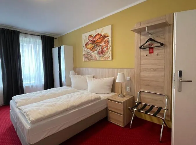 Palm Premium &