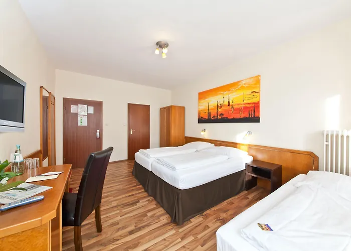 Palm Premium & 3*
