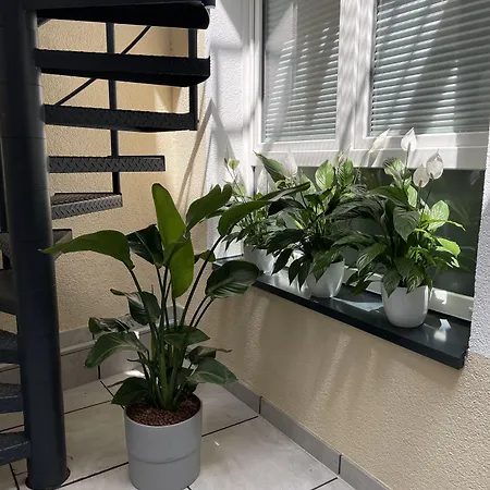 ホテル Palm Premium & デュッセルドルフ